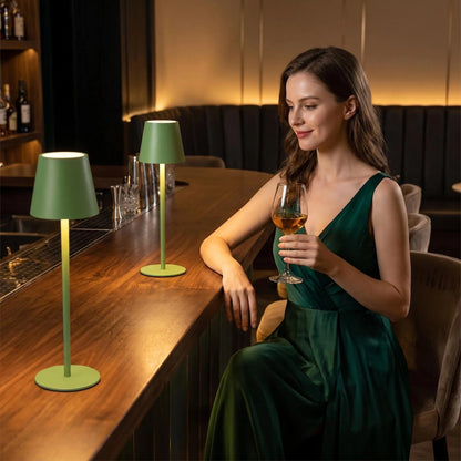 Cordless LED Table Lamp, Modern Metal Touch Light