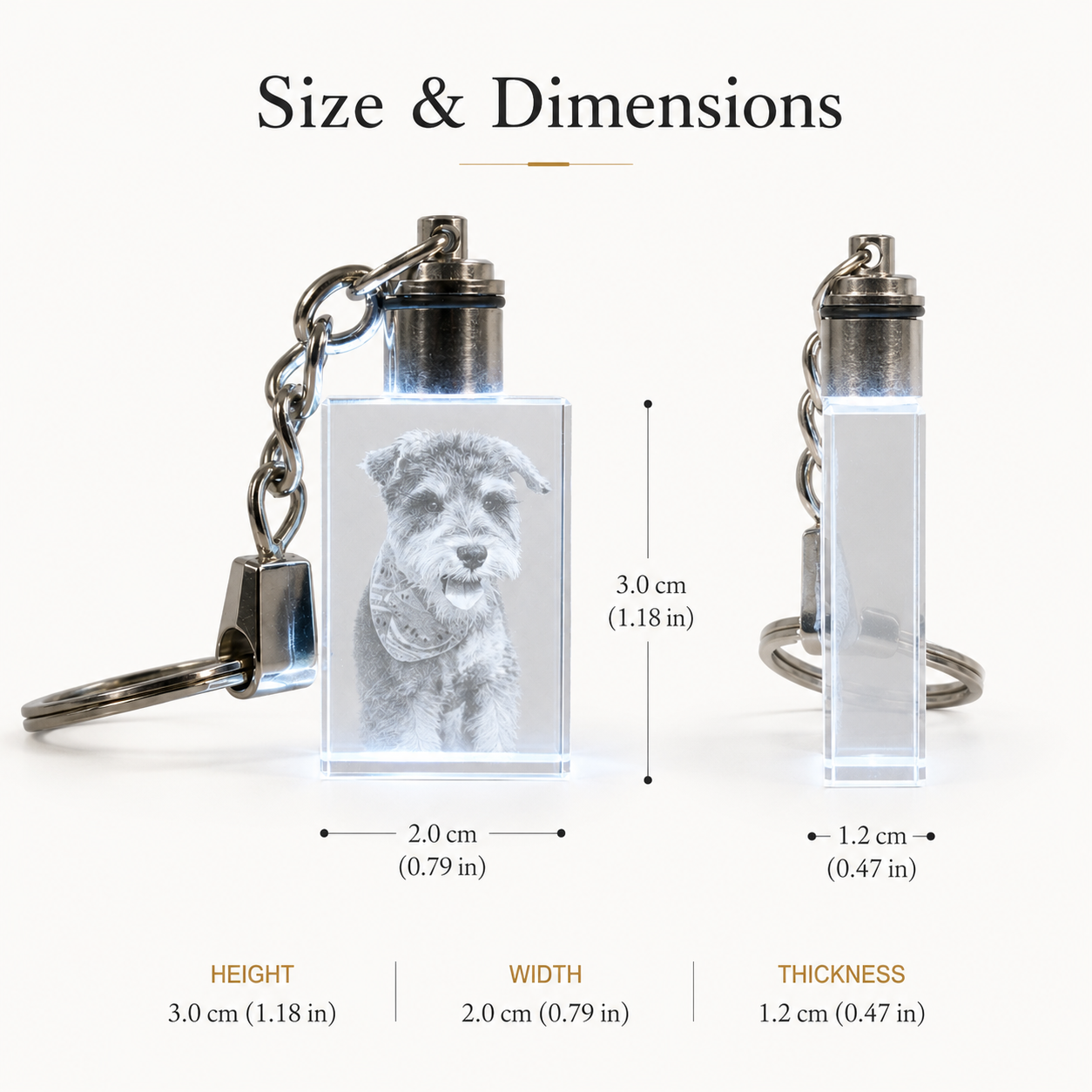 Personalized LED Crystal Pet Photo Keychain with Custom Engraving