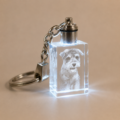 Personalized LED Crystal Pet Photo Keychain with Custom Engraving