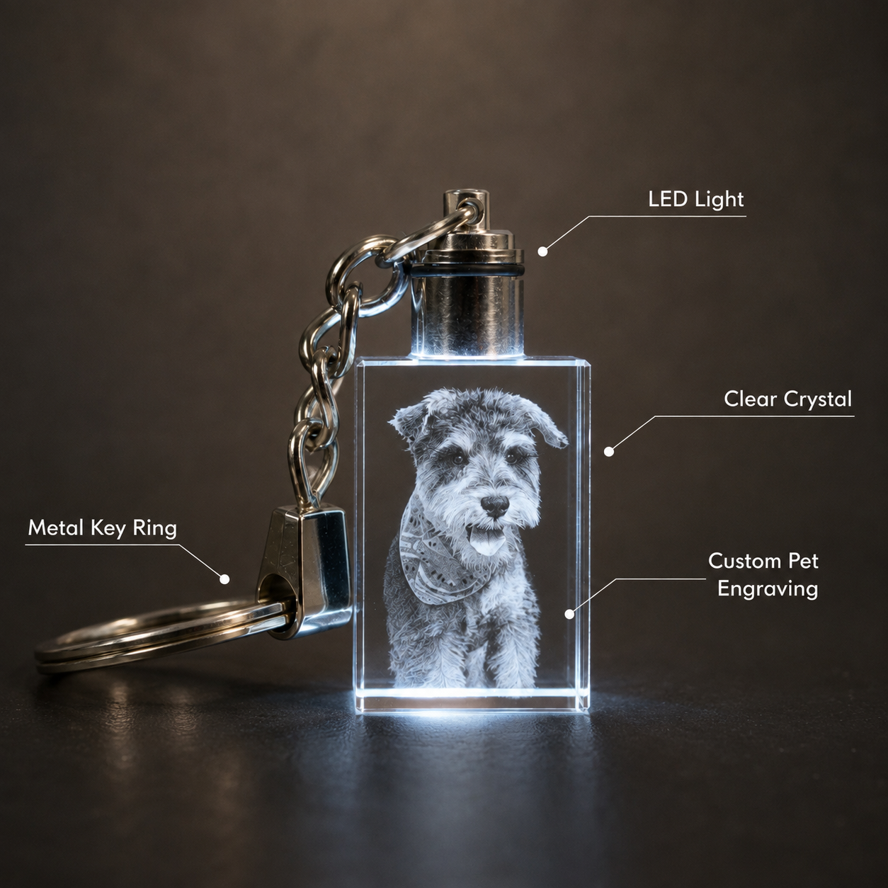 Personalized LED Crystal Pet Photo Keychain with Custom Engraving