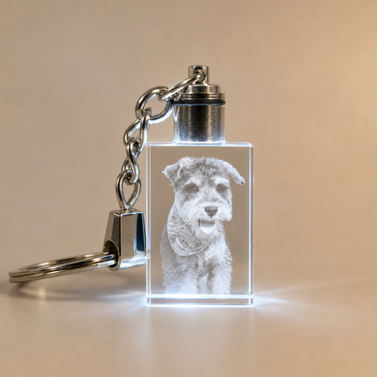 Personalized LED Crystal Pet Photo Keychain with Custom Engraving