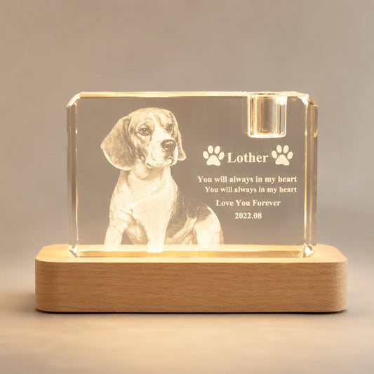 Personalized 3D Crystal Pet Memorial with LED Wood Base