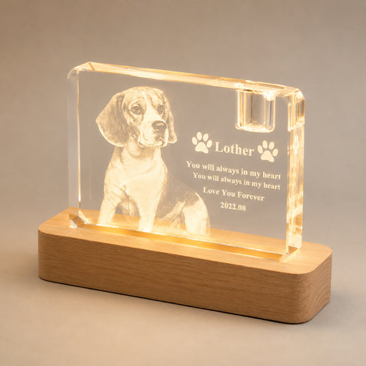 Personalized 3D Crystal Pet Memorial with LED Wood Base