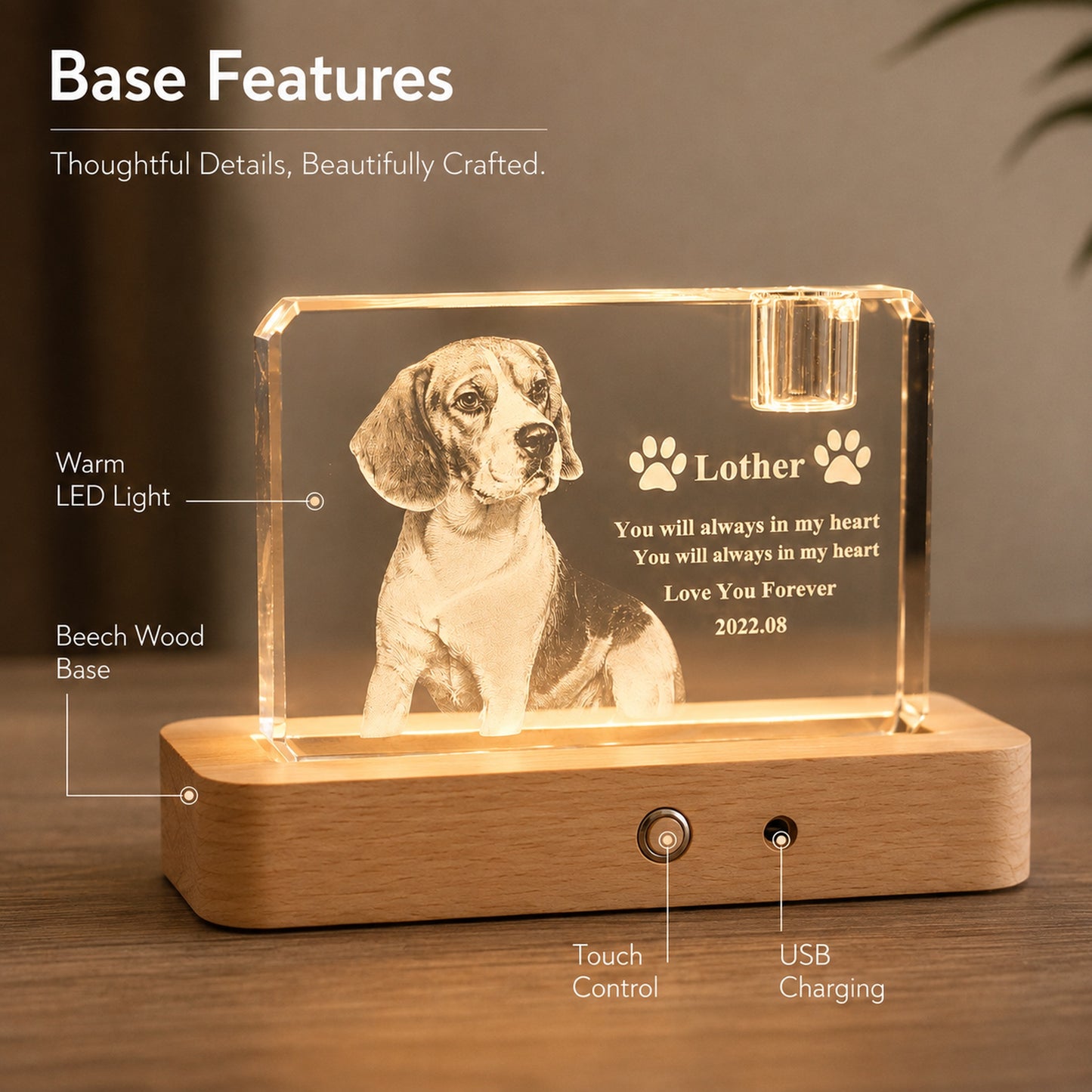 Personalized 3D Crystal Pet Memorial with LED Wood Base