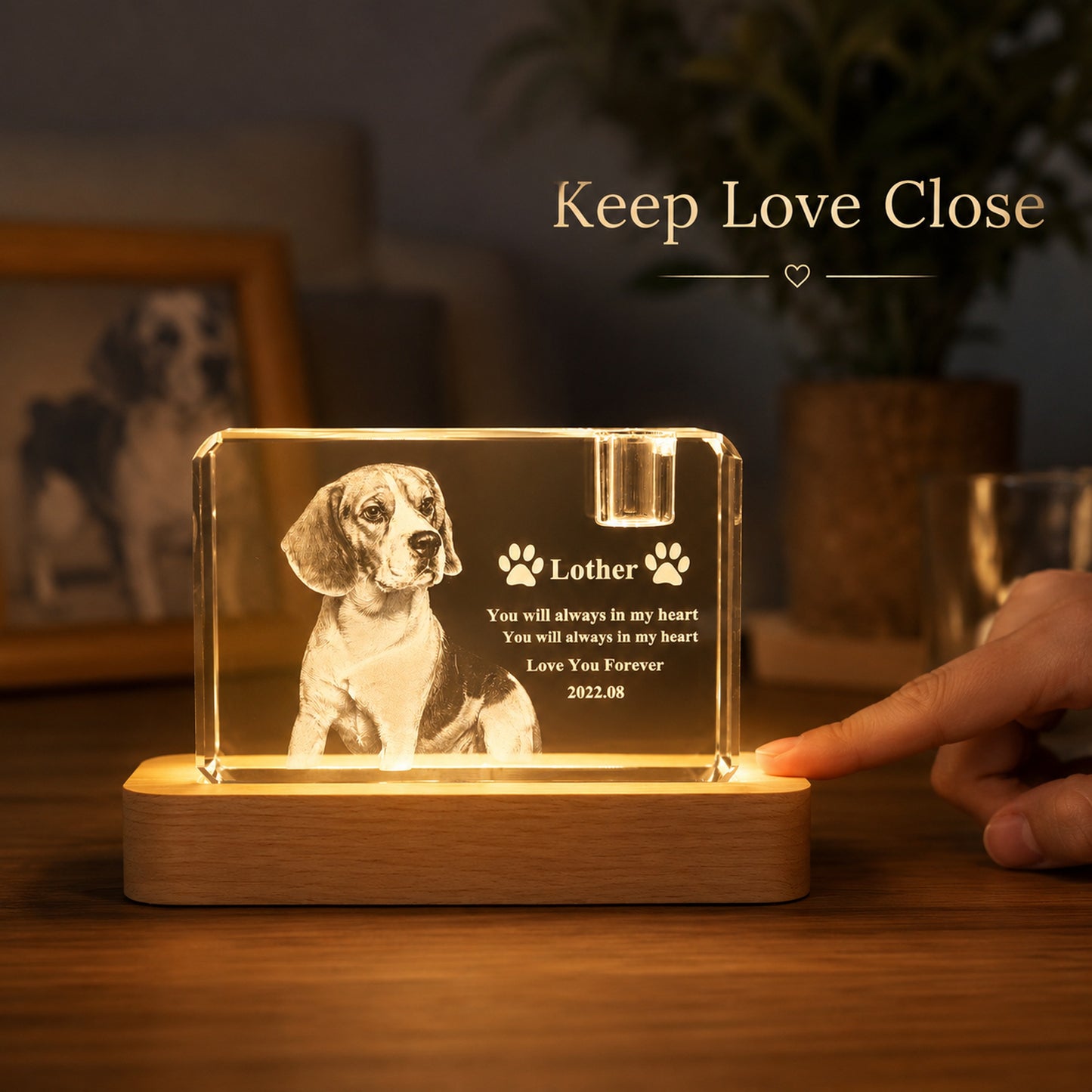 Personalized 3D Crystal Pet Memorial with LED Wood Base